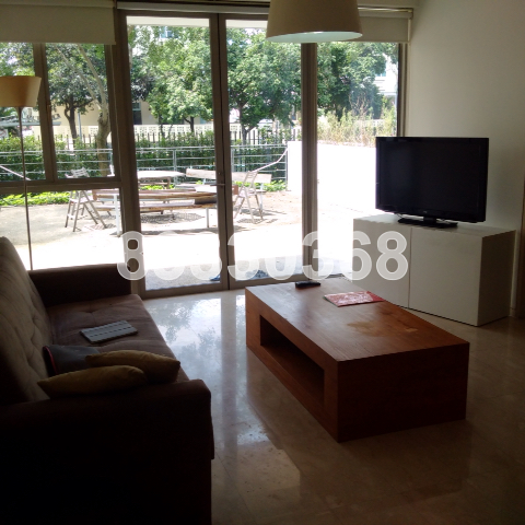 The Trumps thumbnail photo